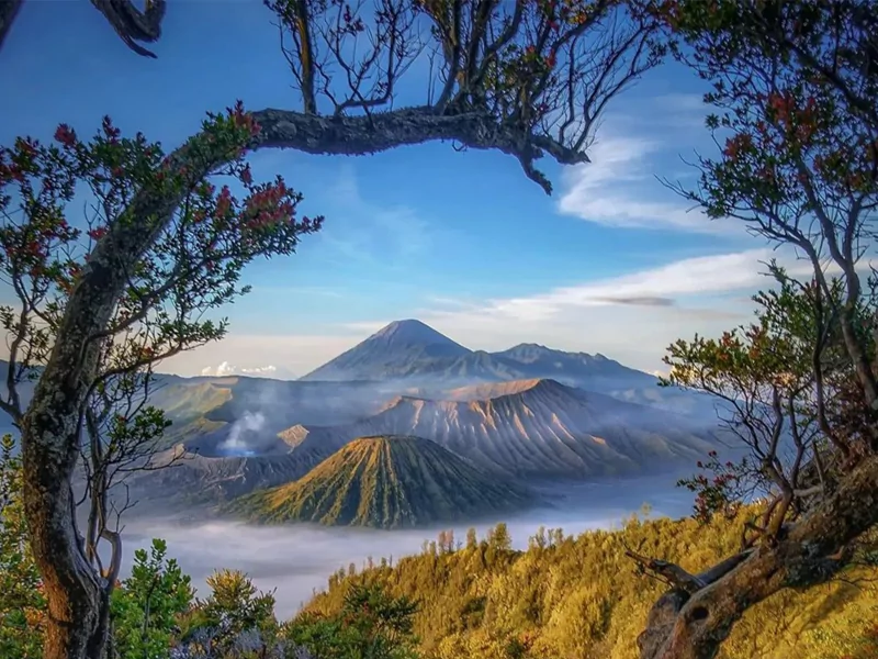 paket-tour-gunung-bromo-6864bf0894e3f