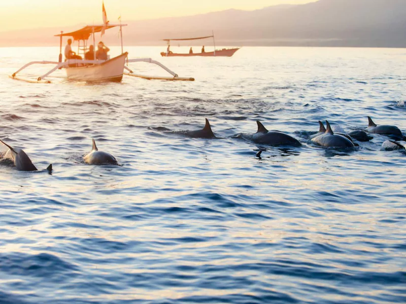 paket-tour-pantai-lovina-6864bf0b4b098